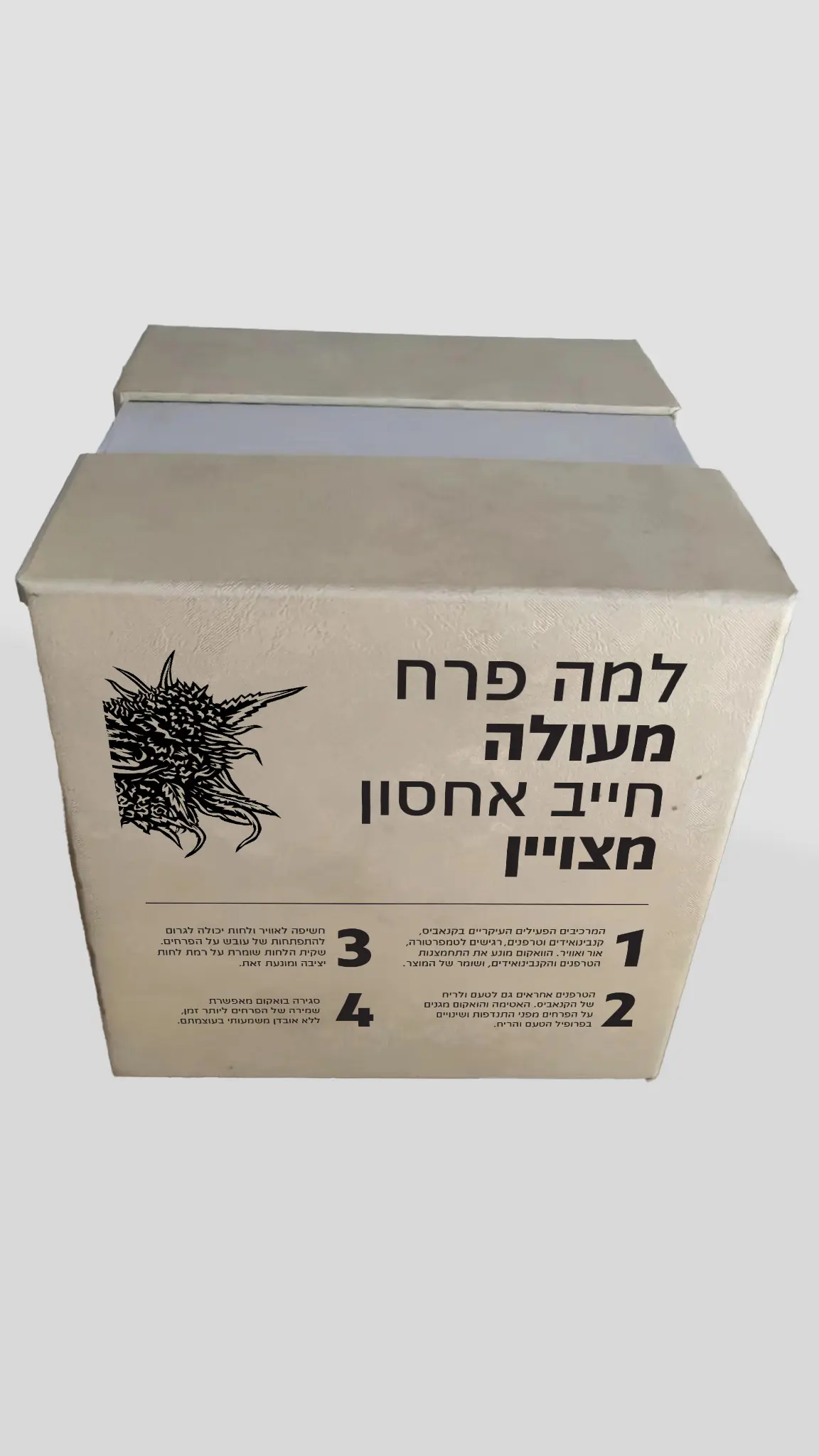 Ishi — אסטרטגיית מותג וזהות